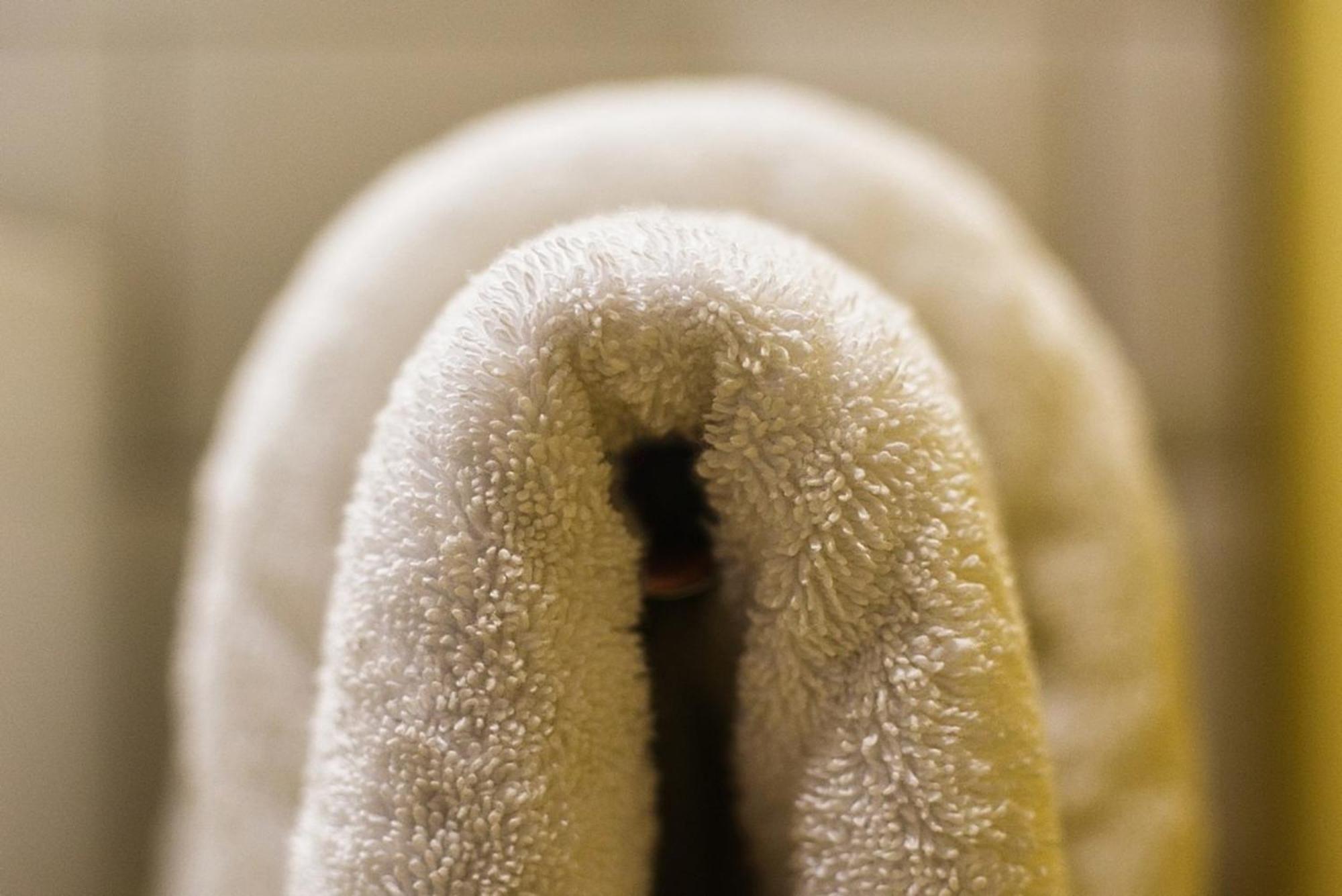 Standard-Apartment 1880 Walsheim エクステリア 写真